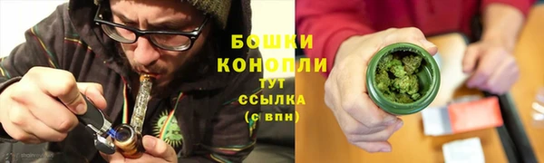 шишки Богданович