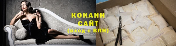 шишки Богданович