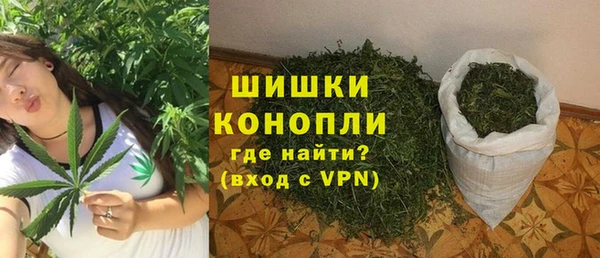 шишки Богданович