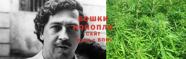шишки Богданович