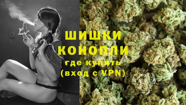 шишки Богданович