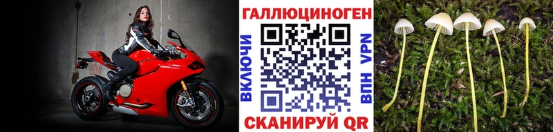 Псилоцибиновые грибы мухоморы  закладка  Нарьян-Мар 